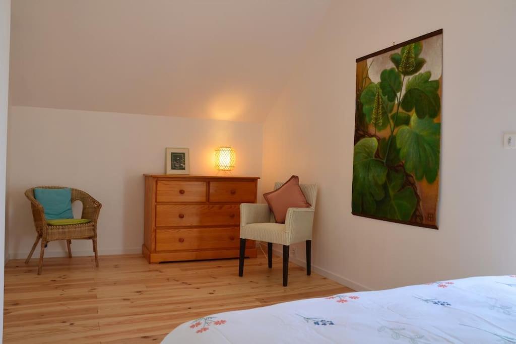 La Maison Des Cordelles Saint-Denis-en-Val Экстерьер фото